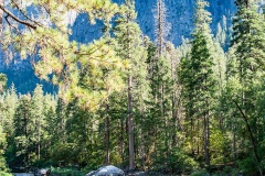 Yosemite National Park Creek
