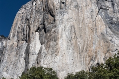 El-Capitan In Yosemite National Park
