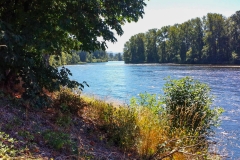 Eugene, Oregon River