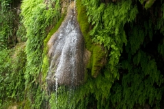 Texas Krause Lake Waterfall