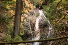 Waterfall Washington State