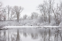 Lake Wingra In Winter