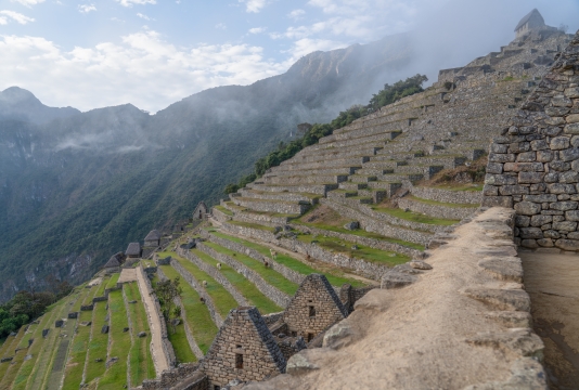 Llamas Grazing on Machu Picchu