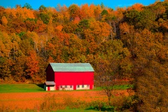 Autumn-Barn