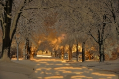 Breathtaking Winter Beauty